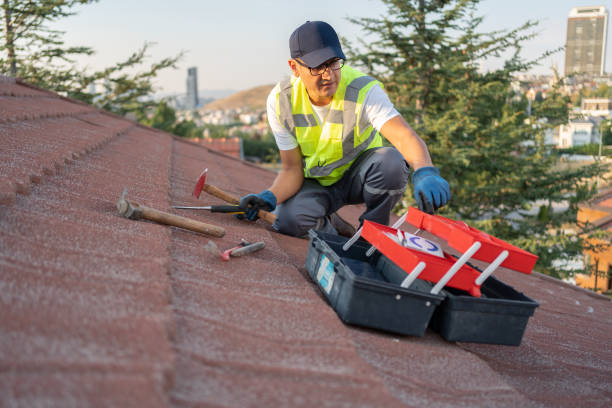 Best Hoarding Cleanup  in Greenwood, IN